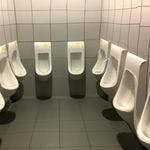 Parurésie : tout savoir sur la phobie des toilettes en public
